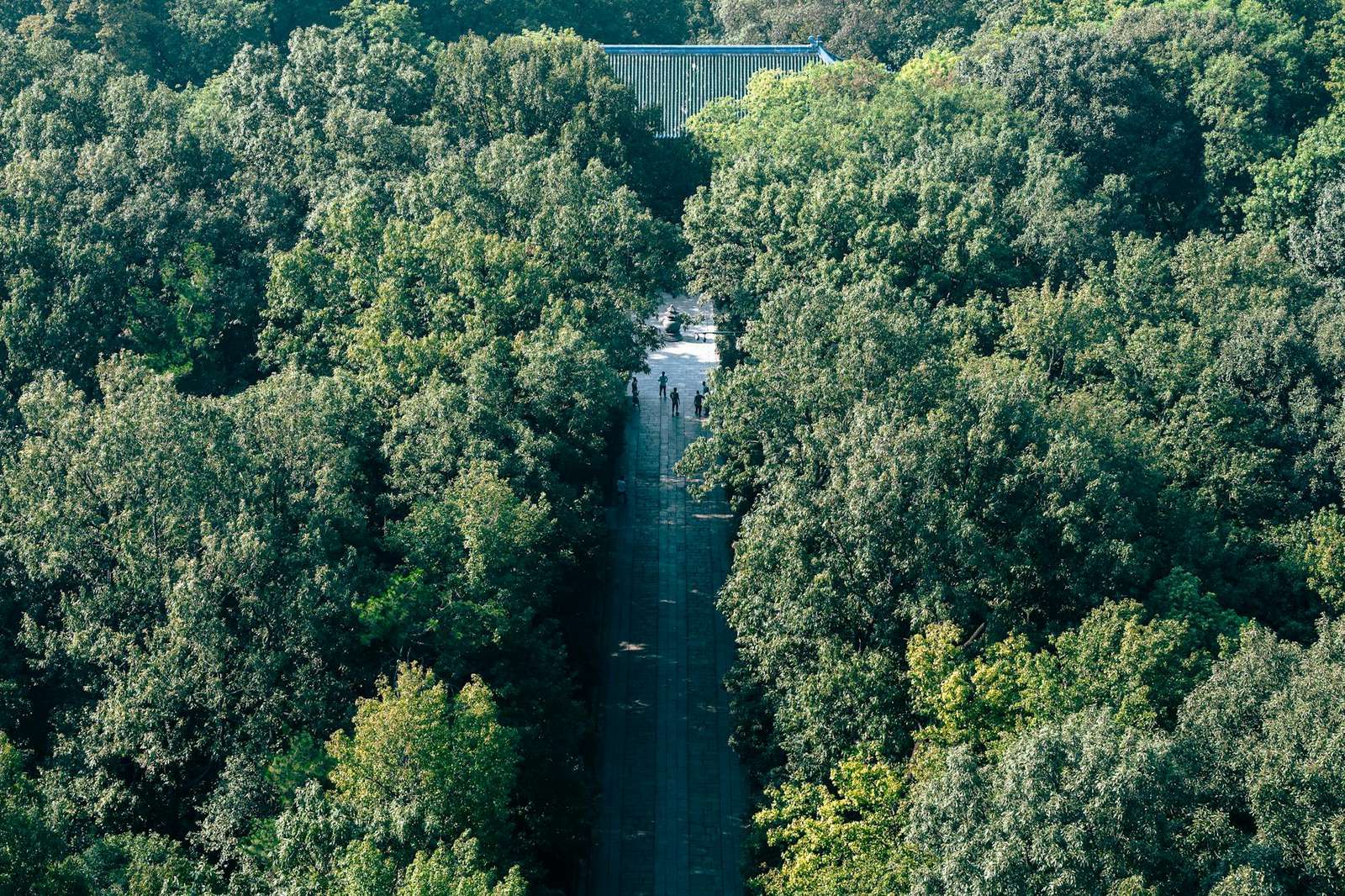 谷歌浏览器 故障排查 下载与安装指南 202603：彻底解决崩溃与卡顿问题